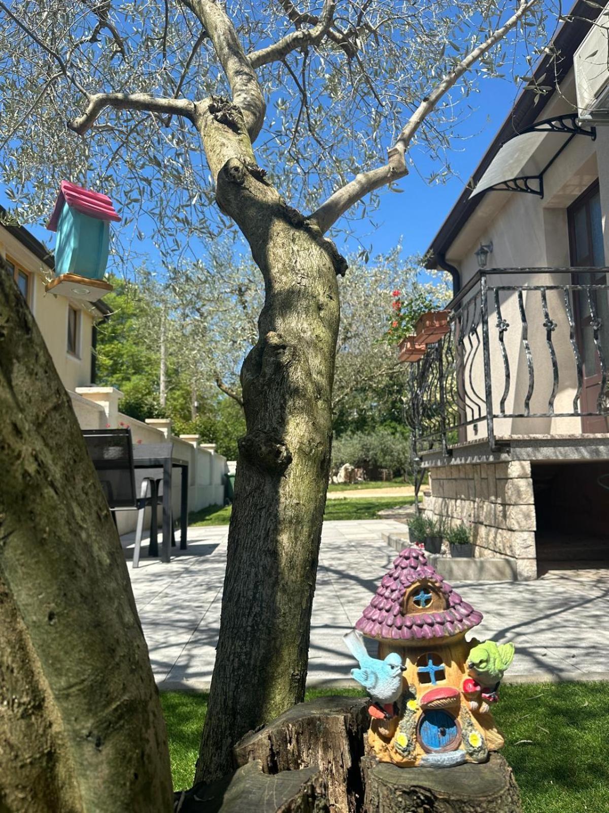 Apartment Nina With Private Pool Nova Vas  外观 照片